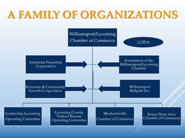 organization tree for the chamber of commerce