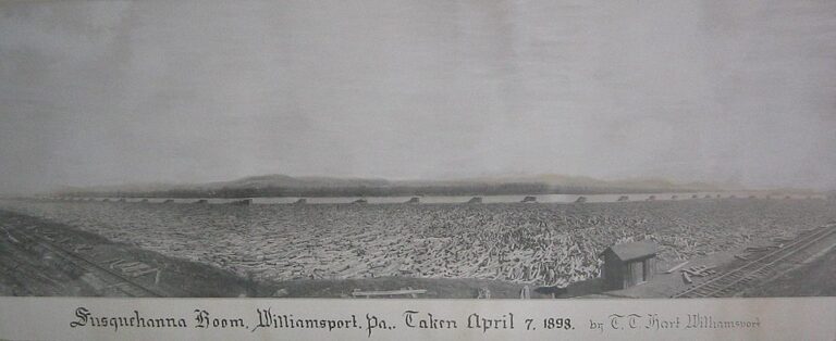 Susquehanna Boom full of logs (photo taken April 7, 1898)